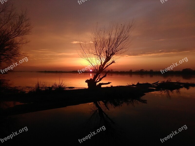 River Tree Sunset Water Nature