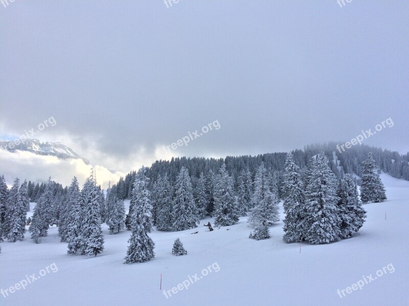 Wintry Winter Mood Snow Landscape Winter Forest Winter Magic