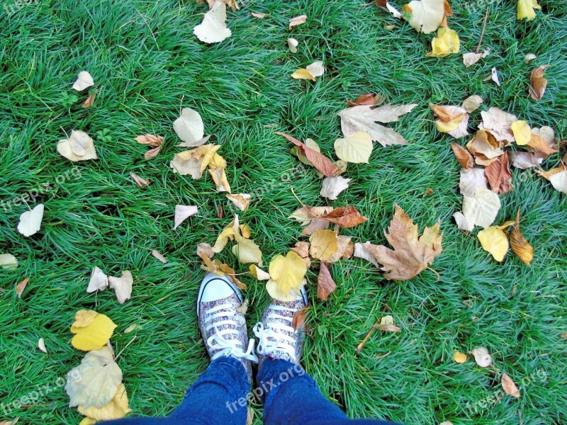 Feet Autumn Lawn Soil Traveller