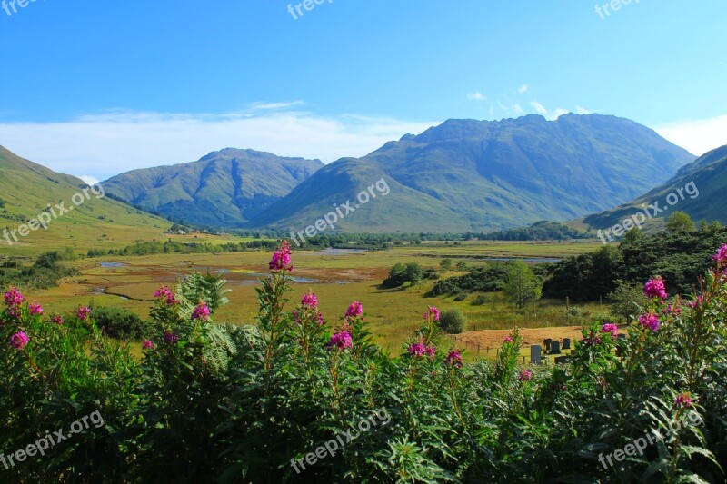 Scotland Highlands And Islands Mountains Flowers Landscape