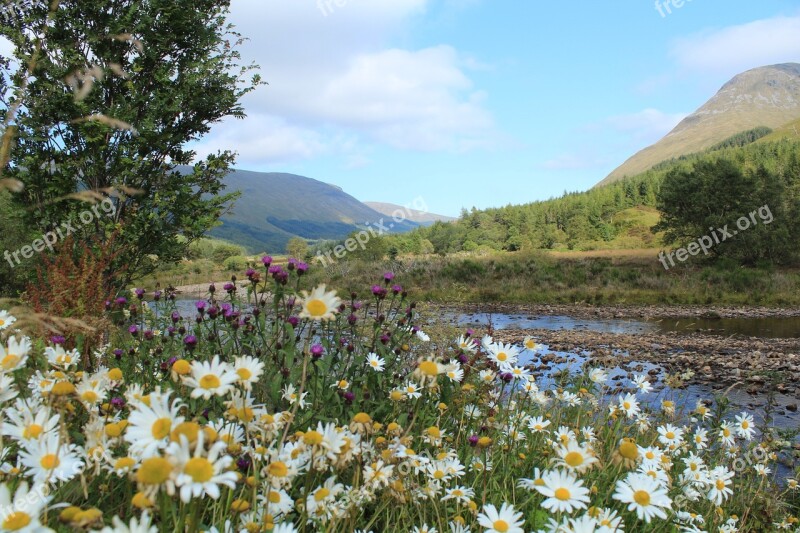 Scotland Highlands And Islands Landscape Flowers Free Photos