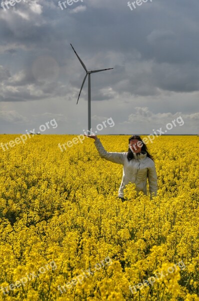 Windmill Rapeseed Spring Energy Free Photos