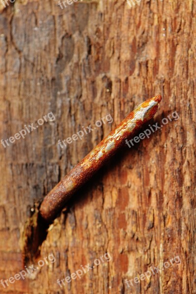 Wood Rostiger Nail Rust Rusted Nail