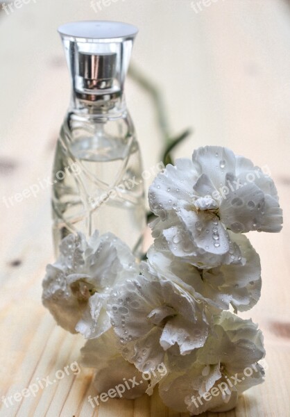 Perfume Bottle Glass Cosmetics Fragrance