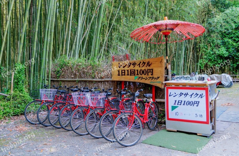 Japan Arashiyama Bamboo Forest Bicycles Umbrella