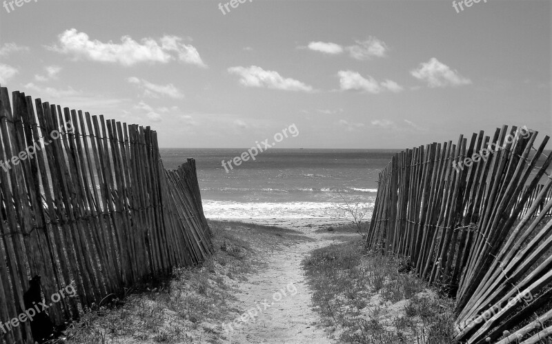 Dunes Fences Beach Coast Sand Beach