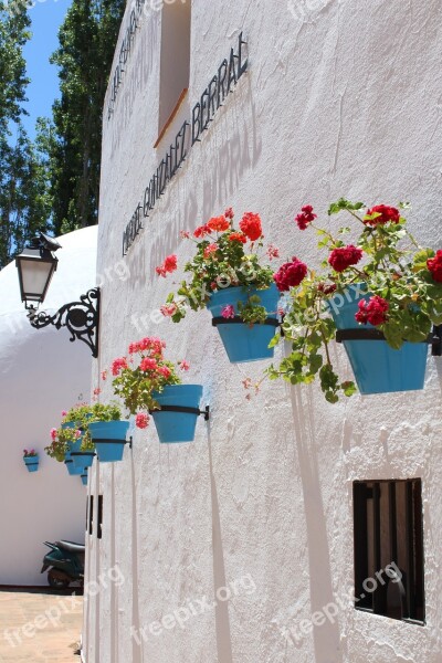 Flowers Blue White Pots Spain