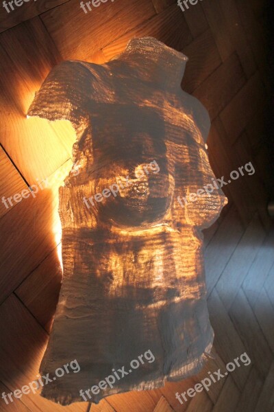 Women's Backlit Beauty Torso Womanhood