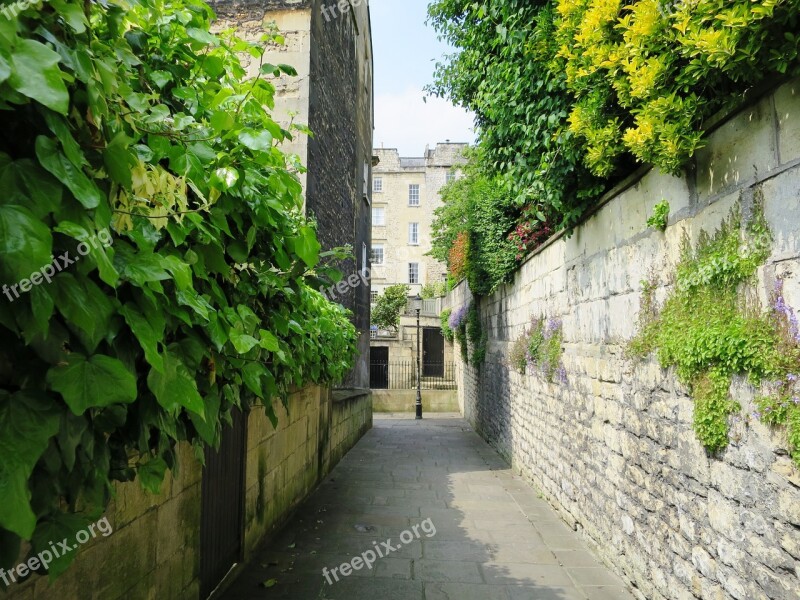 England Bath In England Alley Plant Green