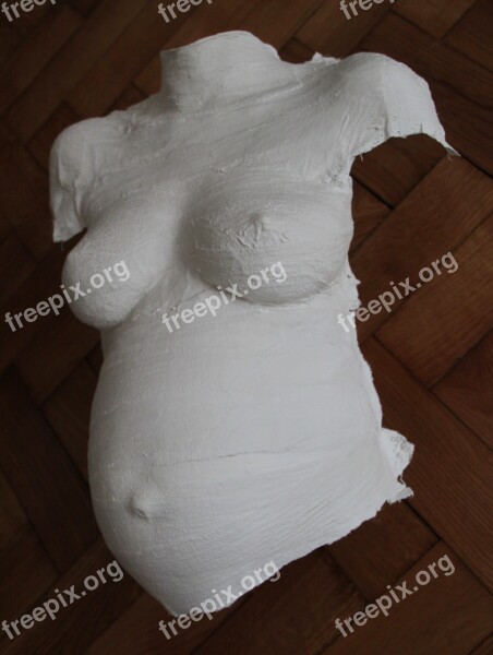 Torso Pregnancy The Expectations Of The Gypsum Mask