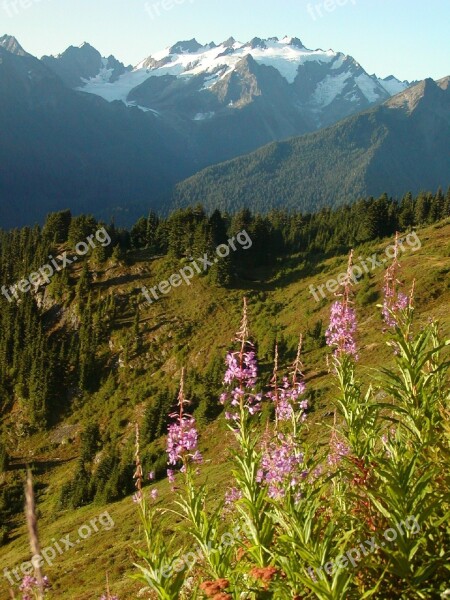 Mount Olympus Olympic Mountains Landscape Snow Peaks