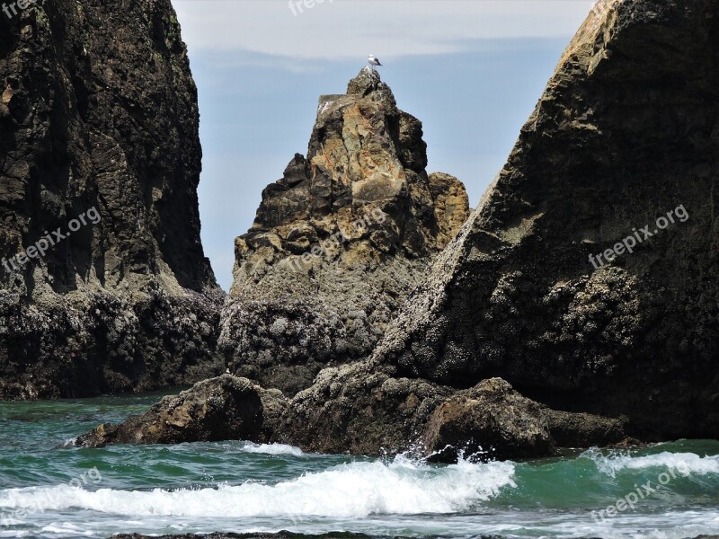 Coast Oregon Coast Ocean Water Beach