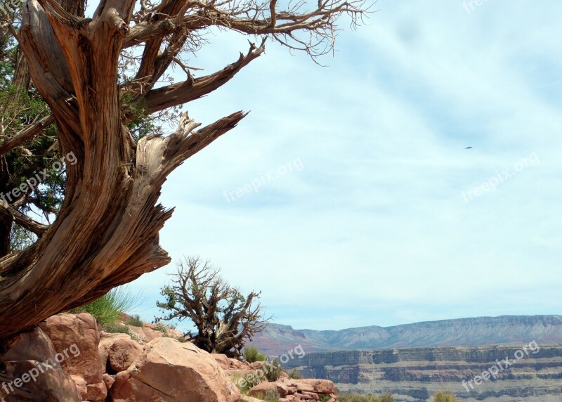 Canyon Nature Grand Canyon Mountains Landscape