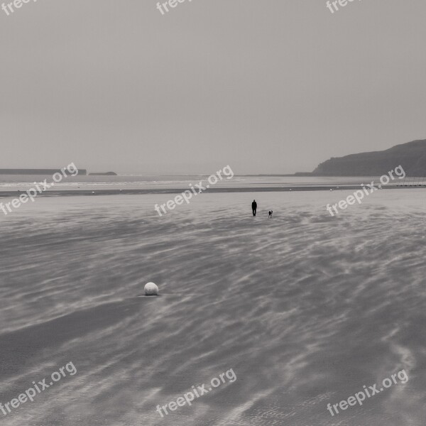 Beach Go Walkies Dog Relaxation Coast