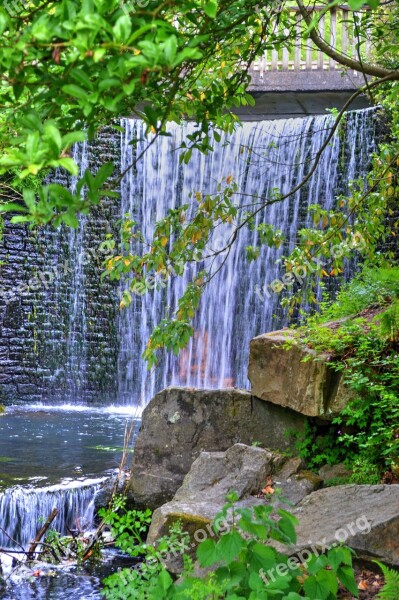 Cascade Waterfall River Nature Water