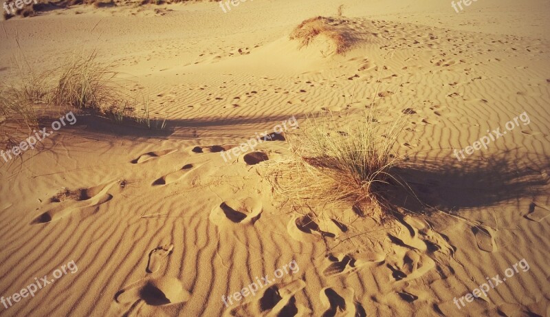 Desert Fingerprint Sardinia Hot Summer