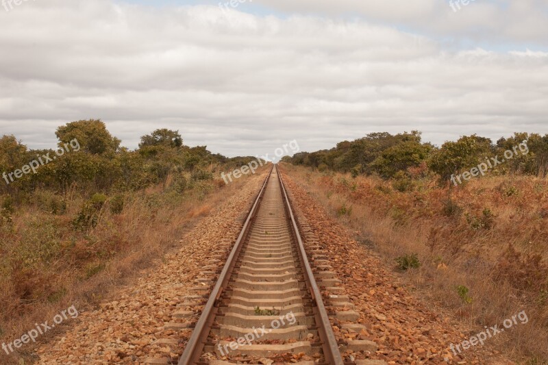 Train Africa Zimbabwe Railway Endless