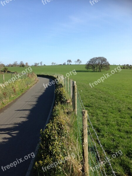 Country Road Lane Field Country Road