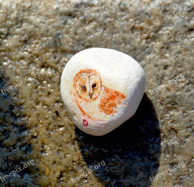 Owl Bird Stone Rock Nature