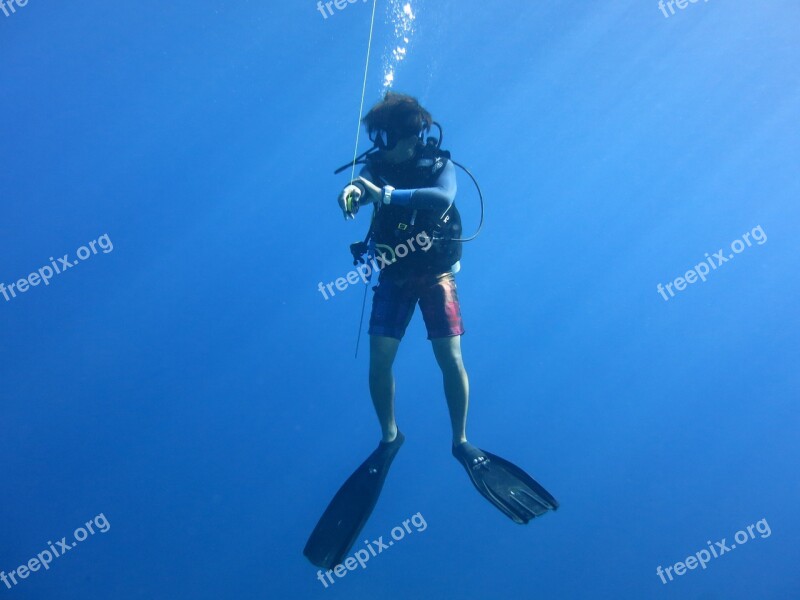 Diver Scuba Blue Safety Stop Scuba Diver