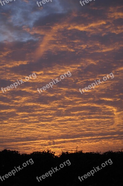 Sky Atmosphere Sunset Evening Orange Sky