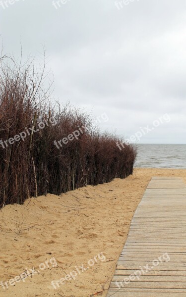 Dunes Coast Beach Steeg Sea