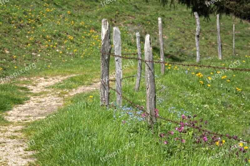 Away Path Post Pasture Fence Fence