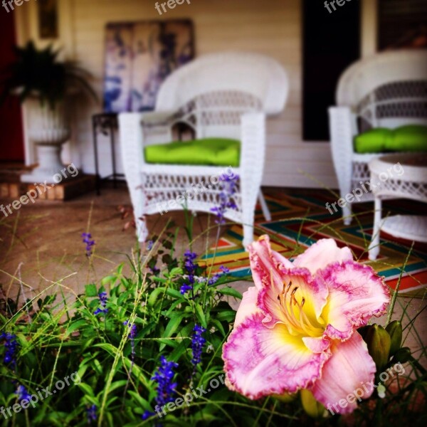 Porch Lily Front Porch Flower Garden