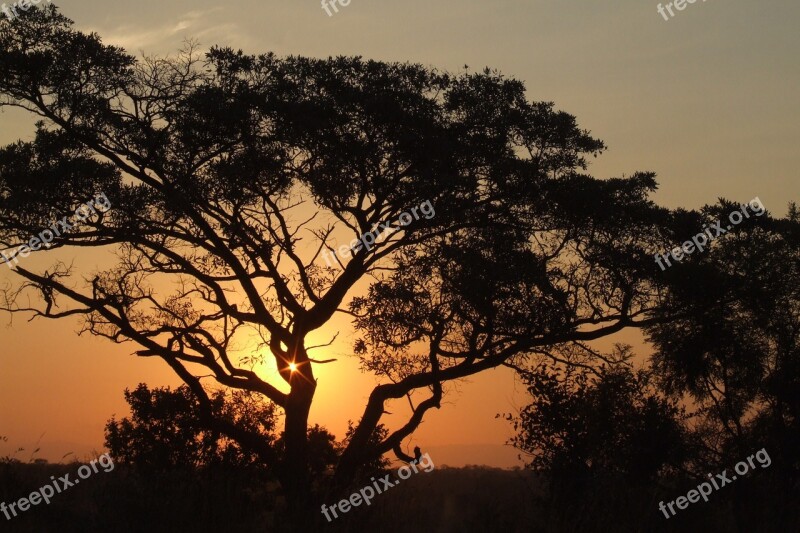 Africa Sunset Nature Sky Sun