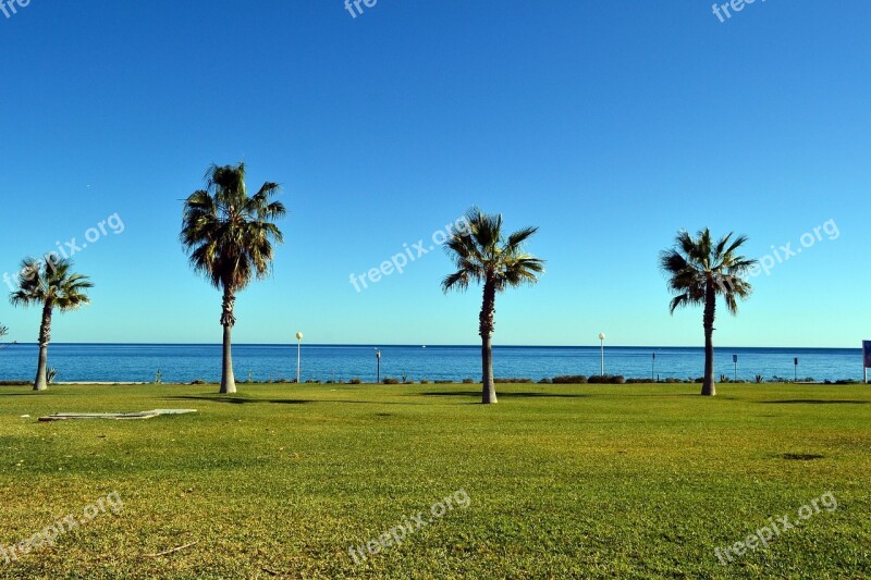 Landscape Palm Mojacar Spain Resort