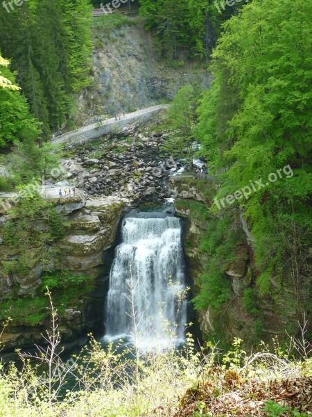 Cascade Jura Forest Water Waterfall