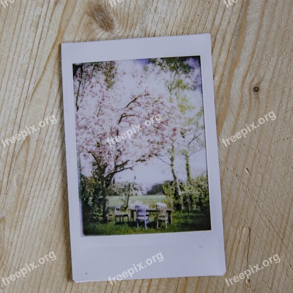 Picture Instant Polaroid Vintage Photograph