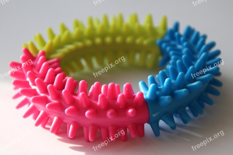 Toy Dog Gum Spines Colors