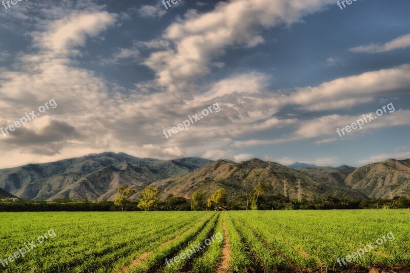 Mountains Crops Cane Field Clouds