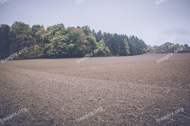 Field Arable Landscape Agriculture Fields