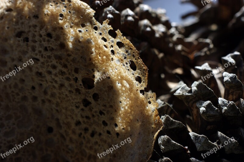 Slab Crepe Power Pinecone Brittany