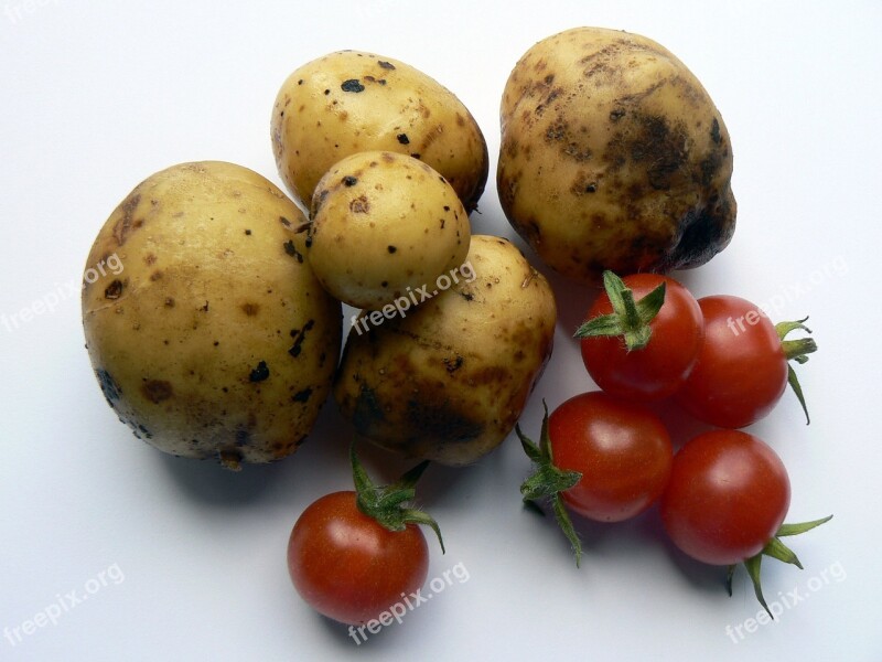 Potato Vegetables Kitchen Food Vegetable Garden