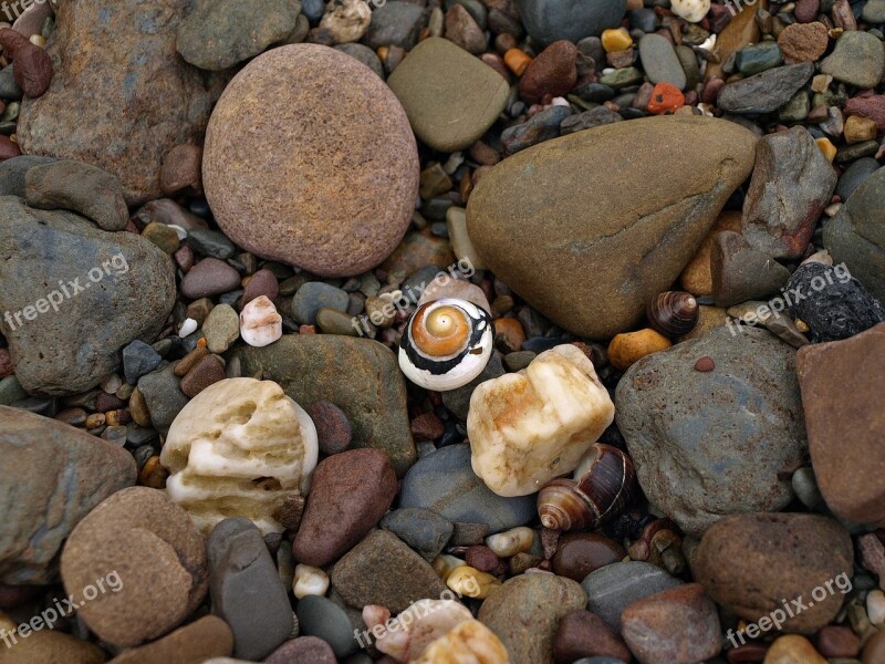 Snail Shell Spiral Stones Pattern