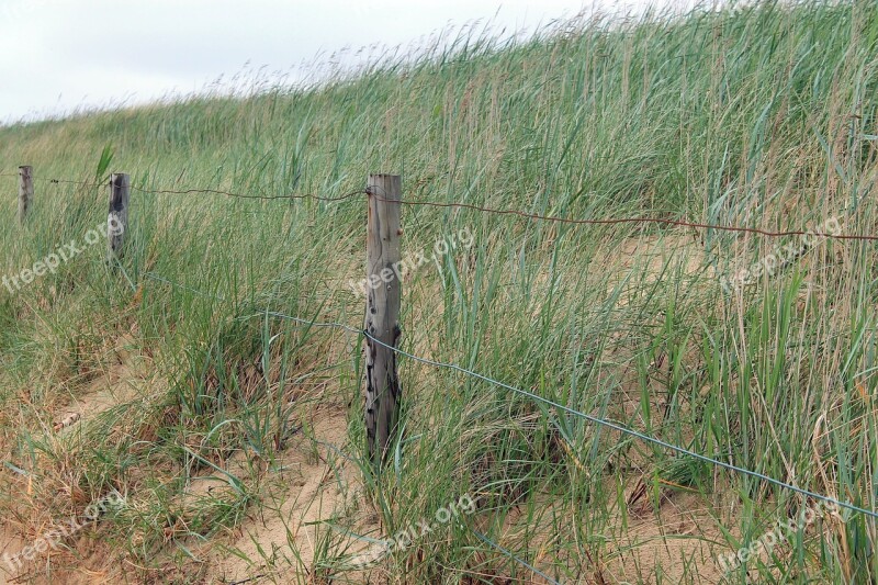 Grass Landscape Dune Beach Sea