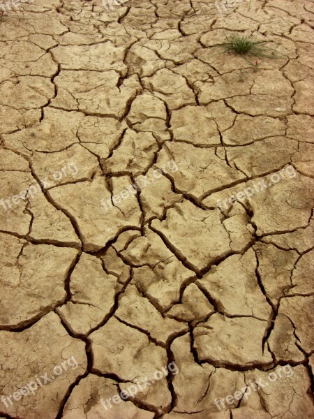 Dry Earth Dehydrated Ground Cracks