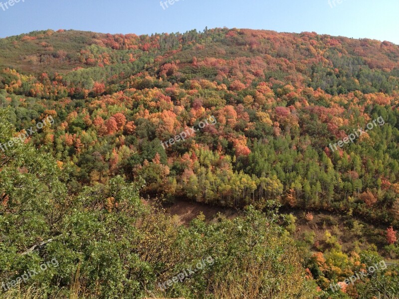 Fall Foliage Colors Autumn Foliage Fall