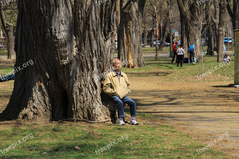 Montreal Park Fountain Man Tree