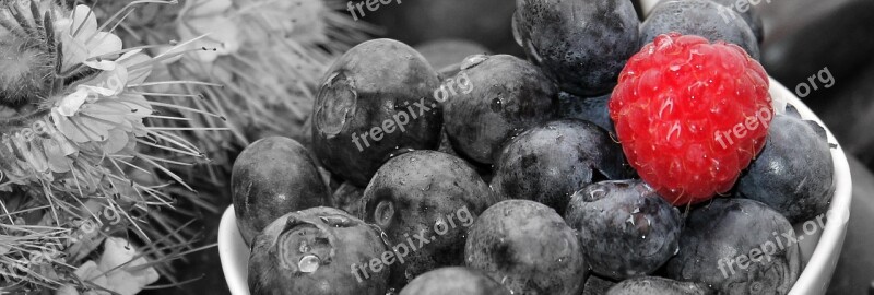 Blueberries Raspberry Fruits Fruit Vitamins