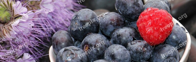 Blueberries Raspberry Fruits Fruit Vitamins