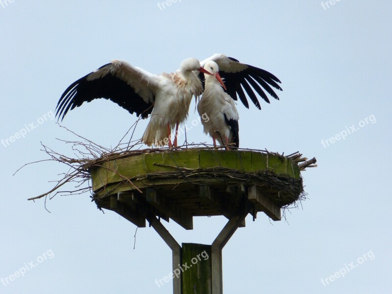 Stork Föhr Whisper Sweet Nothings Love Sky