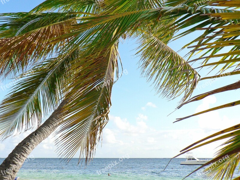 Cuba Beach Holiday Idleness Tropics