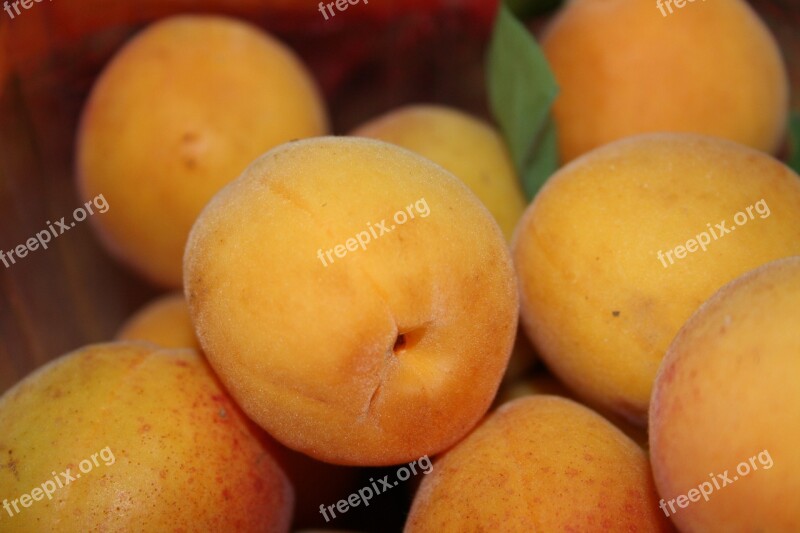 Apricot Fruit Wachau Vitamins Free Photos