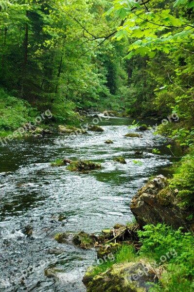 Oker River Rock Water Nature