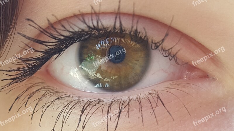 Eye Watch Green Eyelashes Look At