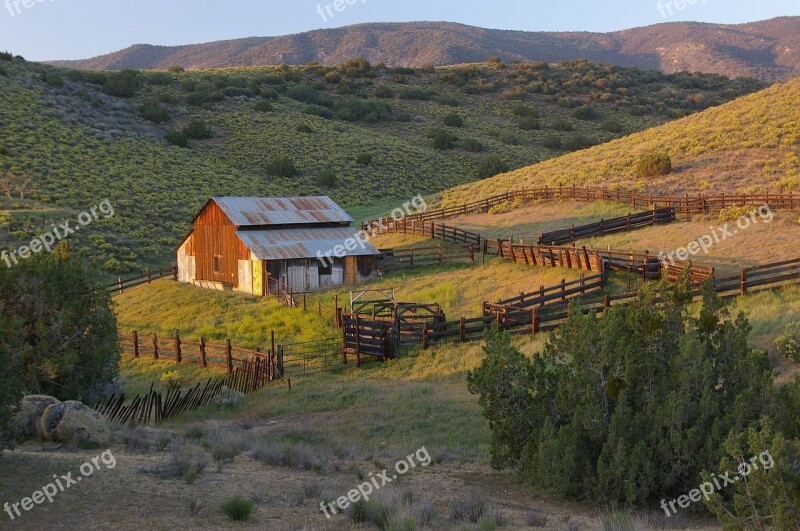 Barn Cows Ranch Wood Country